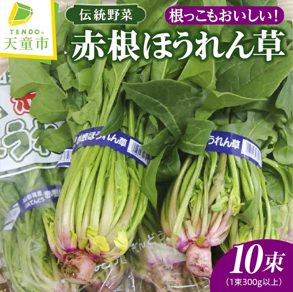 根っこもおいしい！ 赤根 ほうれん草 10束 野菜
