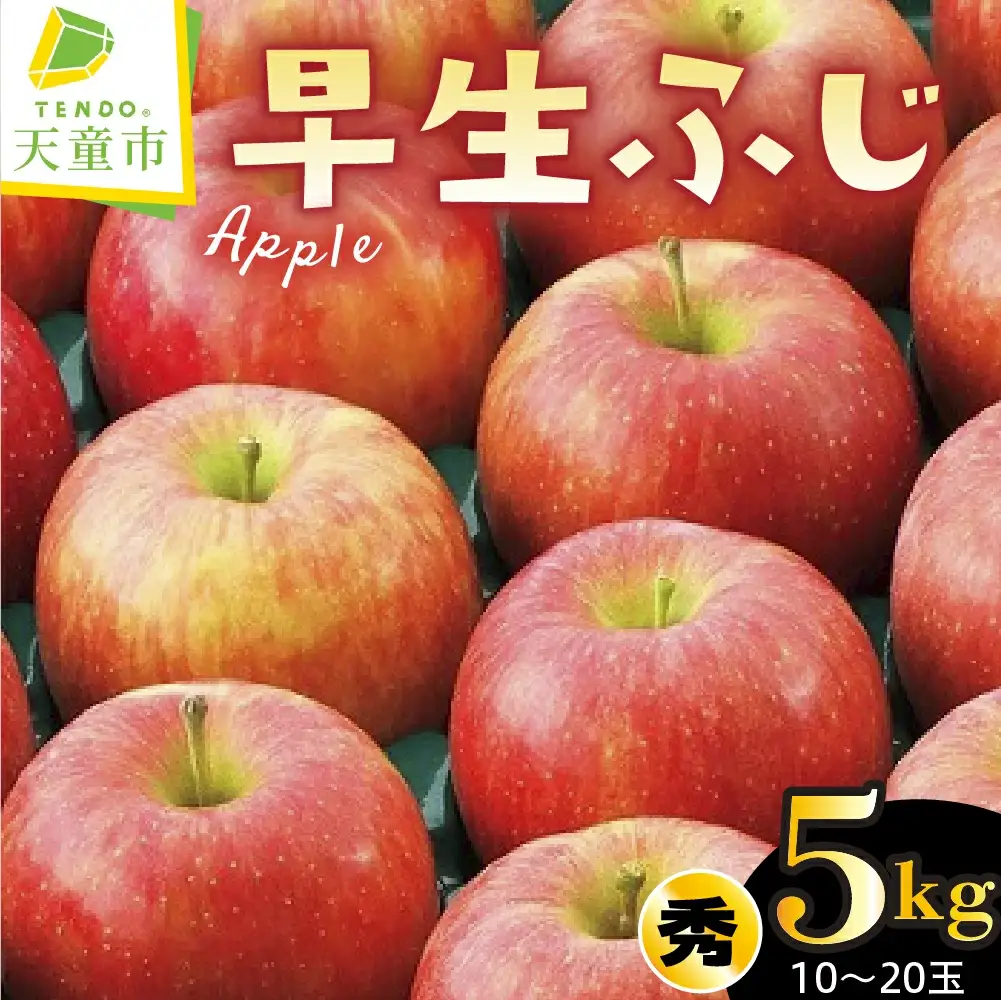りんご ( 早生ふじ ) 5kg フルーツ 果物 山形 08-01-058