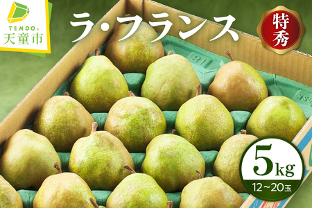 ラ・フランス 5kg フルーツ 果物 山形 08-01-043