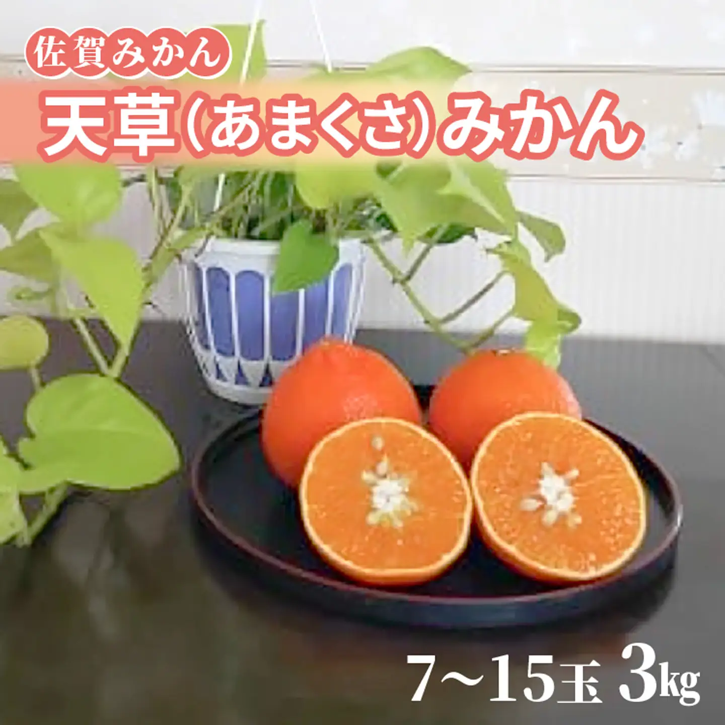 天草（あまくさ）みかん 7～15玉　3kg（化粧箱入り） _c-142