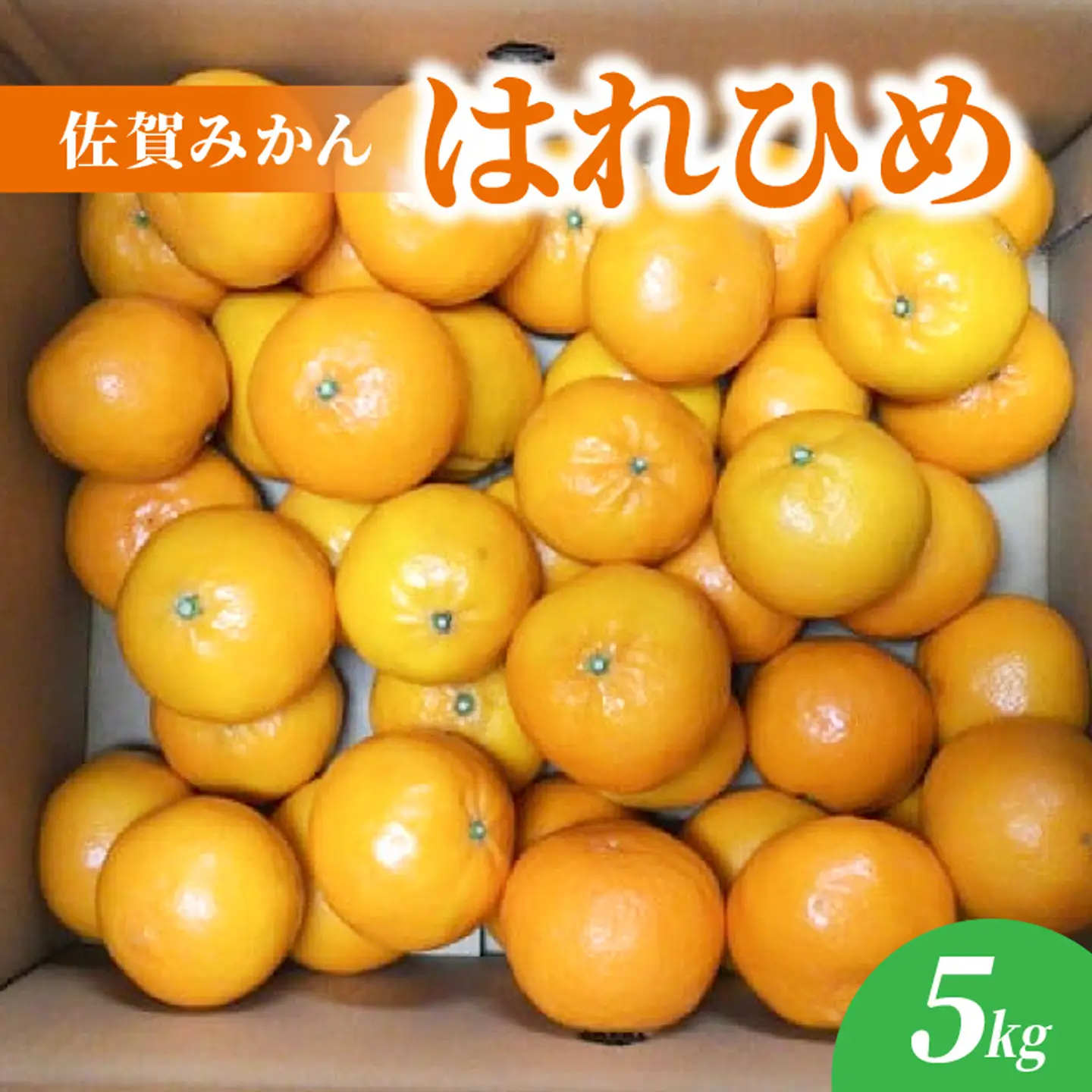 はれひめ 5kg 佐賀 みかん_b-499