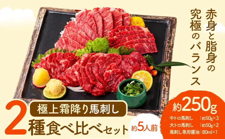 馬刺し 極上 霜降り 2種 食べ比べ セット 株式会社利他フーズ《30日以内に出荷予定(土日祝除く)》 中トロ 大トロ 国産 冷凍 生食用 肉 馬肉 ふるさと納税馬刺し 熊本県 南阿蘇村 送料無料 馬刺 ばさし 名物