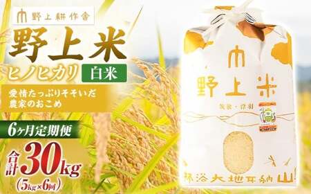 【6か月定期便】 白米 野上米 5㎏×6回 計30kg 【2025年10月下旬より発送予定】 ヒノヒカリ 米 こめ コメ お米 常温 国産