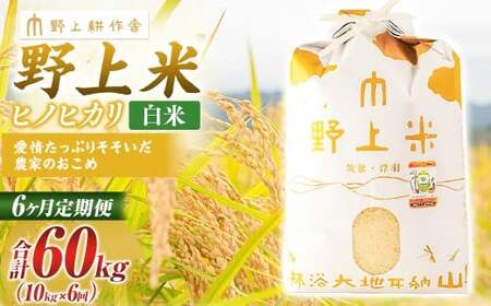 【6か月定期便】 白米 野上米 10㎏×6回 計60kg 【2025年10月下旬より発送予定】 ヒノヒカリ 米 こめ コメ お米 常温 国産