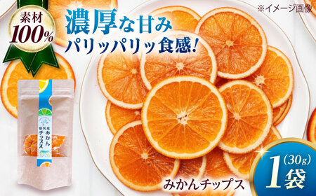 みかん 田尻産 みかんチップス 1袋 [BAGS003] みかん