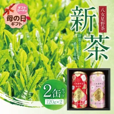 Y26-18R01 【母の日】新茶 八女星野茶 120g×2本