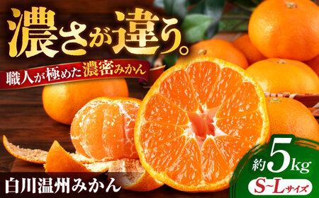 【先行予約】 旨み凝縮！ 飛龍台木 白川 温州 みかん S～Lサイズ 約5kg 山鹿市産　【小春農園】[ZBN009]