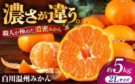 【先行予約】 旨み凝縮！ 飛龍台木 白川 温州 みかん 2Lサイズ 約5kg 山鹿市産　【小春農園】[ZBN010]