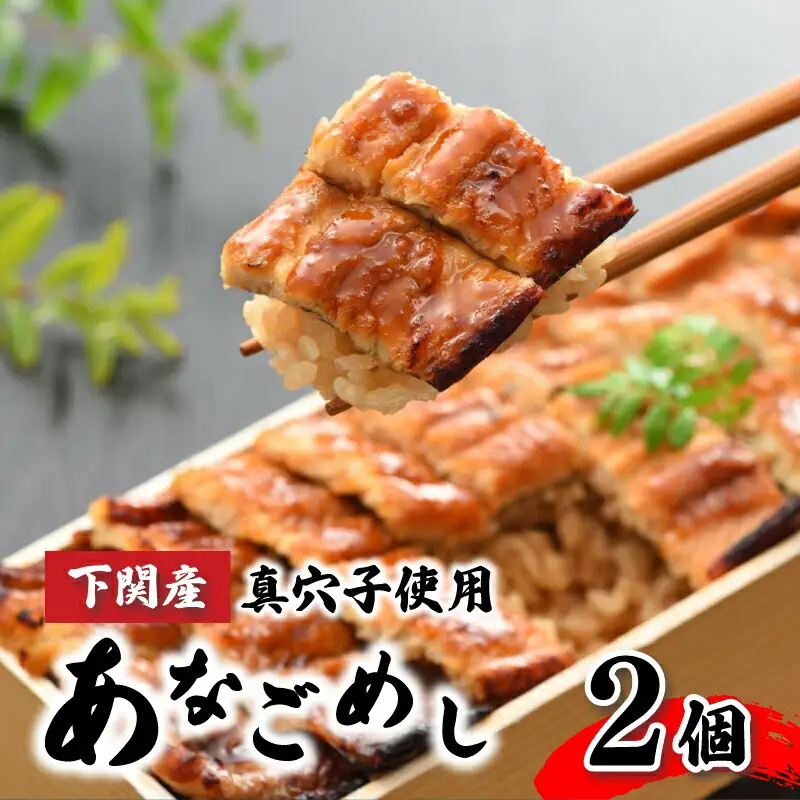 あなごめし 385g × 2個セット 冷凍 あなご HF