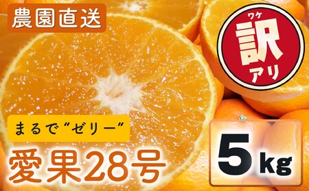 愛果28号 (紅まどんな と同品種) 訳あり 家庭用 5kg 【MCF018】