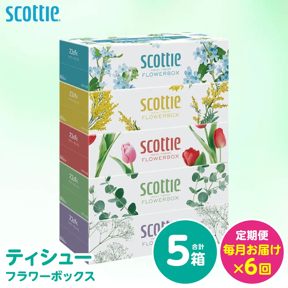 【定期便6回】【毎月お届け】【スコッティ】 ティシュー フラワーボックス 250組 5箱 計30箱 ティッシュ 日用品 生活必需品 消耗品 紙 備蓄 防災備蓄 ストック デザインボックス 新生活 防災 生活用品 日用消耗品 箱ティッシュ 熊本県 八代市