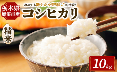 令和7年度産 コシヒカリ 精米 10kg | 白米 お米 米 こしひかり 農家直送 栃木県 鹿沼市 ※北海道・沖縄・離島への配送不可
