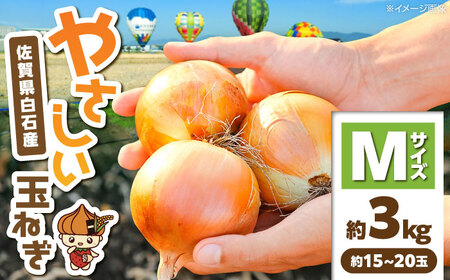 玉ねぎ 約3kg Mサイズ 玉ねぎ IDQ001