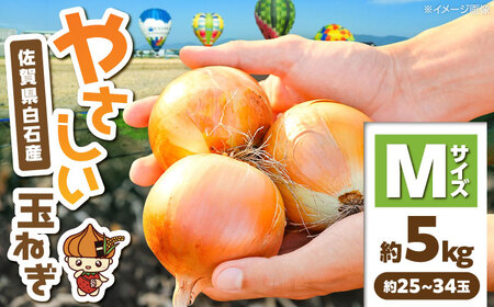 玉ねぎ 約5kg Mサイズ たまねぎ IDQ003
