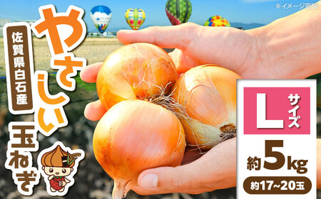 玉ねぎ 約5kg Lサイズ 玉ねぎ IDQ004