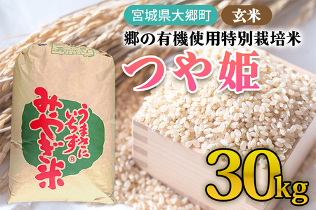 令和7年産 郷の有機使用特別栽培米 つや姫 玄米 30kg [0297]