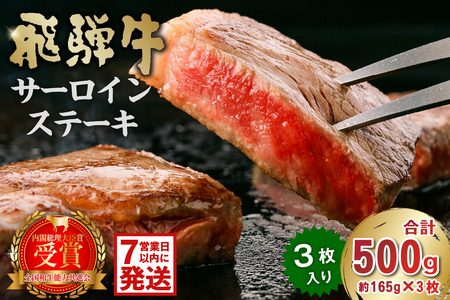 飛騨牛サーロインステーキ500g 【0016-027-1w】