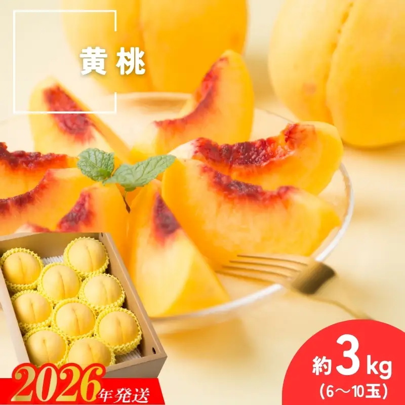 No.3307 種まきうさぎ 福島市産 黄桃 (品種おまかせ)　約3㎏