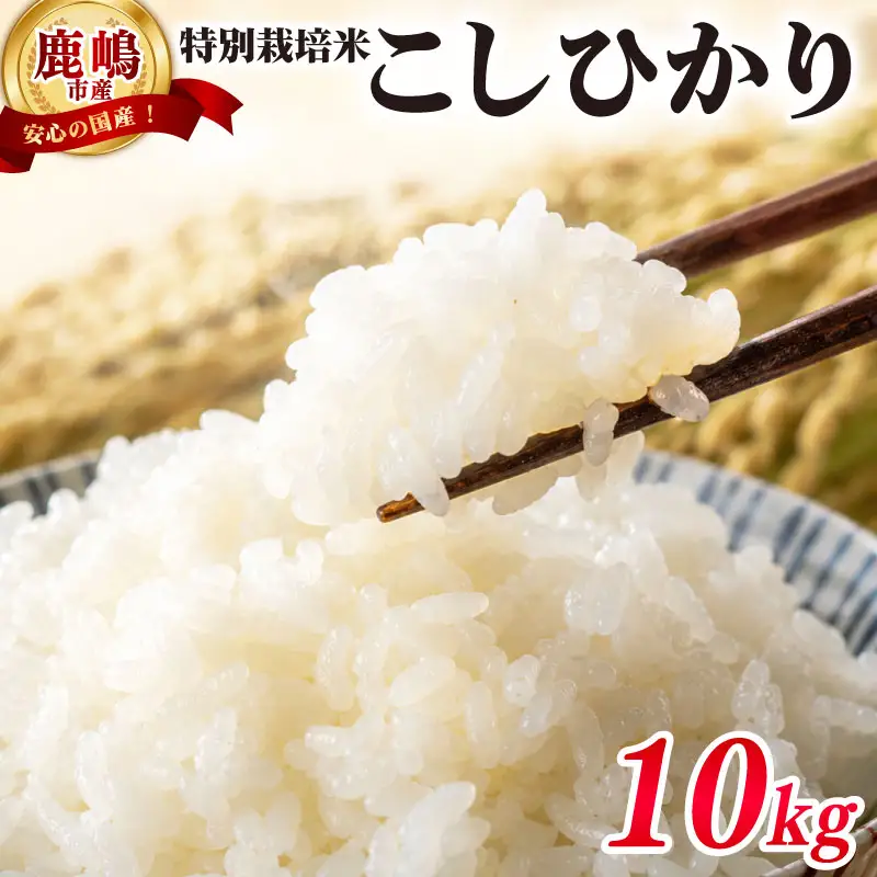 米 こしひかり 10kg 令和7年度産 特別栽培米 米