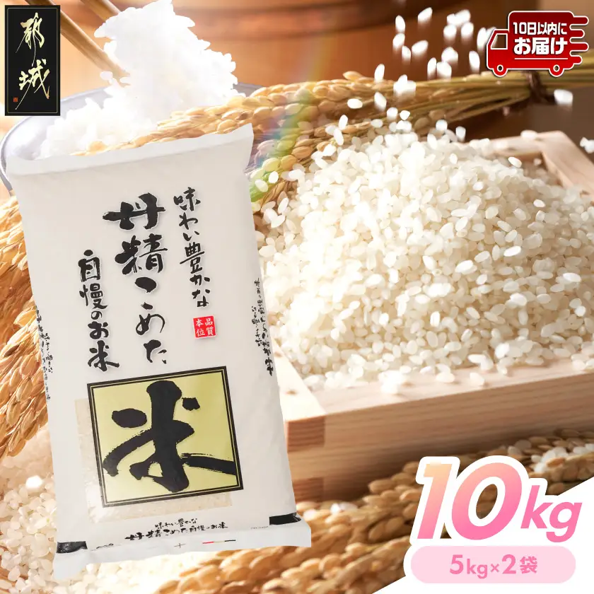 都城産米と国産米ブレンド 10kg≪みやこんじょ特急便≫〔19-33-001-10kg-Q〕_(都城市) お米 国産ブレンド米 10kg 精米