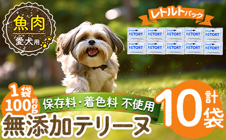 a1089-D ＜保存料・着色料 不使用＞愛犬用無添加テリーヌ レトルトパック 魚テリーヌ10袋(1袋約100g・合計約1kg)【Nフードサービス】姶良市 魚 テリーヌ 犬 ドッグ ペット フード エサ レトルト おやつ ごはん ご飯 間食 ご褒美