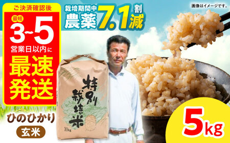 【R7年産】九州のこだわり「ひのひかり」玄米 5kg / 米 こめ お米 おこめ 玄米 げんまい ひのひかり ヒノヒカリ 長崎県産 / 諫早市 / 上島農産[AHAS015]