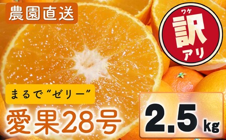愛果28号 (紅まどんな と同品種) 訳あり 家庭用 2.5kg (約6～15個) 光センサー選別 【2026年11月下旬頃から順次発送】 【MCF0054】