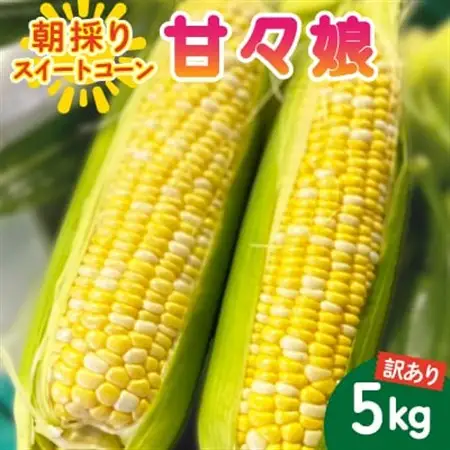 【2026年6月～7月順次発送】とうもろこし 約5kg 甘々娘(訳あり) 朝採り スイートコーン【配送不可地域：離島・沖縄県】【1713800】