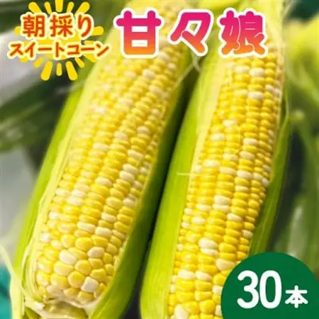 【2026年6月～7月順次発送】とうもろこし 30本 甘々娘(A品) 朝採り スイートコーン【配送不可地域：離島・沖縄県】【1713801】
