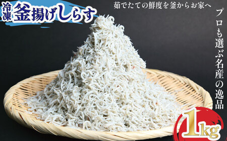 釜揚げ しらす 1kg 冷凍 鮮度 産地直送 しらす丼 海鮮 海鮮丼 魚介 魚
