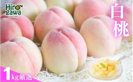 厳選 白桃 1kg / 桃 もも 甘い 高級 和歌山 ※7月上旬～8月中旬に順次発送 ※北海道・沖縄・離島への配送不可 【ikd501-p-1A】