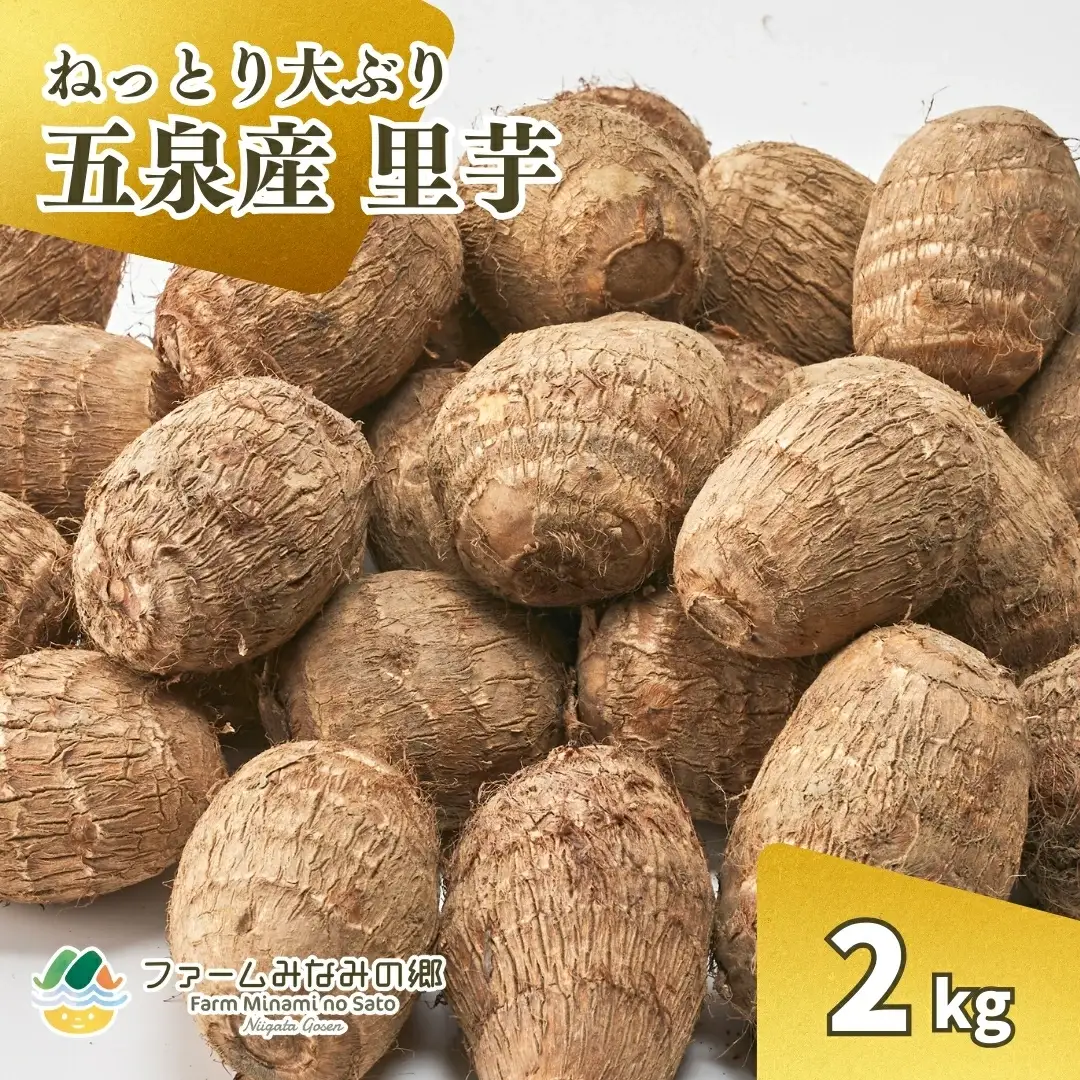 【令和8年産先行予約】五泉産 大玉さといも（2L以上）2kg | 新潟県 さといも 里芋
