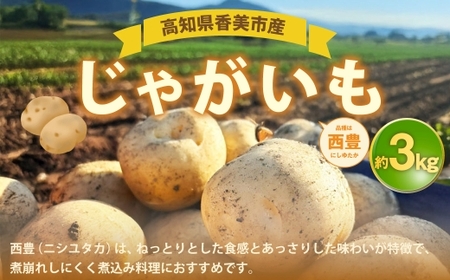 じゃがいも （ 西豊 ） 約3kg 野菜 やさい ジャガイモ いも イモ 芋