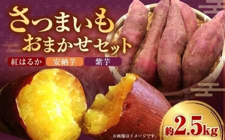 さつまいもおまかせセット 約2.5kg （ 紅はるか、 安納芋、 紫芋 ） 野菜 やさい さつまいも さつま芋 サツマイモ いも イモ 芋 セット