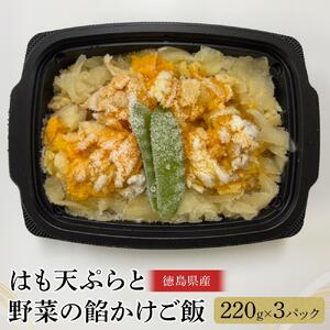 はも天ぷらと野菜の餡かけご飯（220g×3）