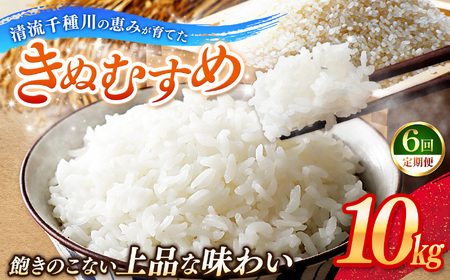 【定期便6回】令和7年産 上郡町からのお米 きぬむすめ10kg×6回 | お米 きぬむすめ 美味しい 国産 兵庫県 上郡町