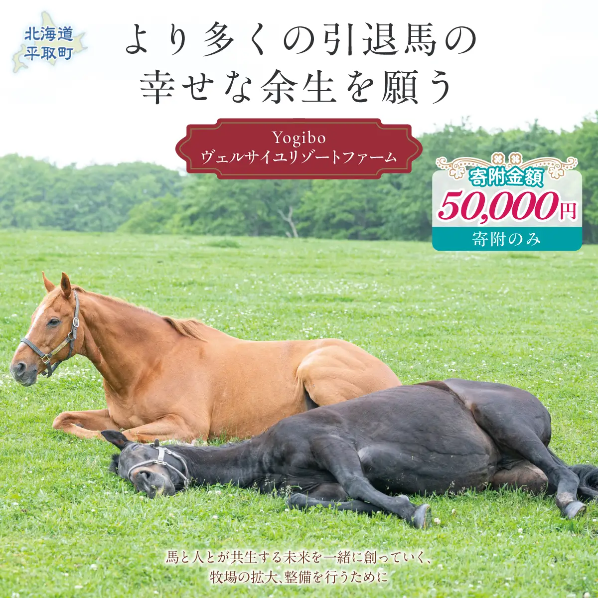 【5万円コース 返礼品無し】より多くの引退馬の幸せな余生を願う　Yogiboヴェルサイユリゾートファーム BRTV024-04