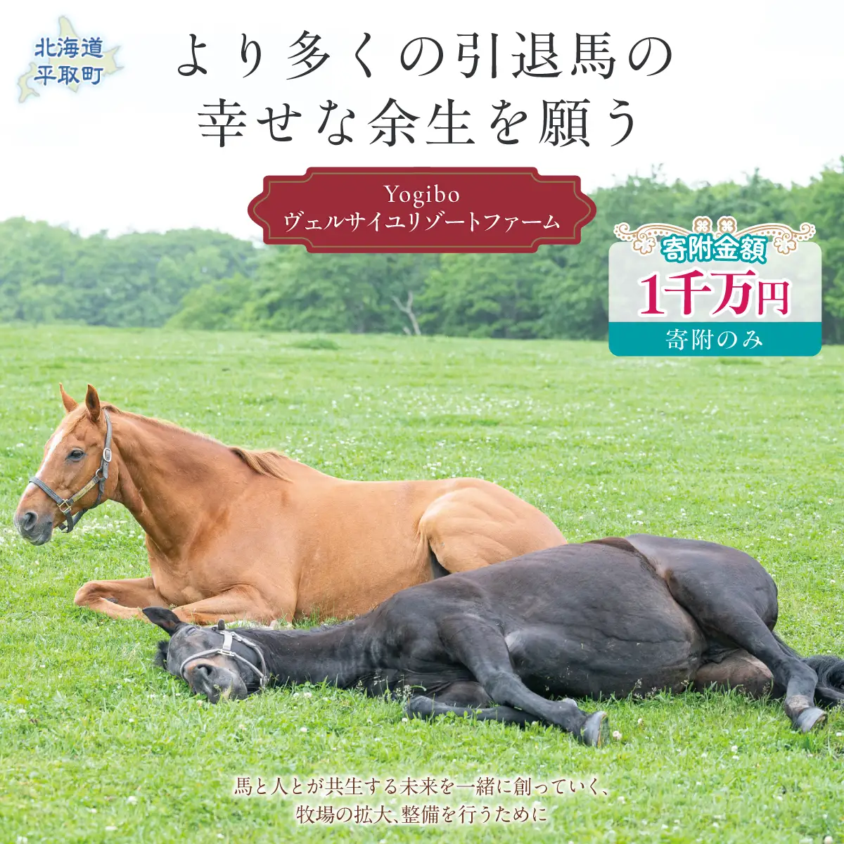 【1000万円コース 返礼品無し】より多くの引退馬の幸せな余生を願う　Yogiboヴェルサイユリゾートファーム BRTV024-07
