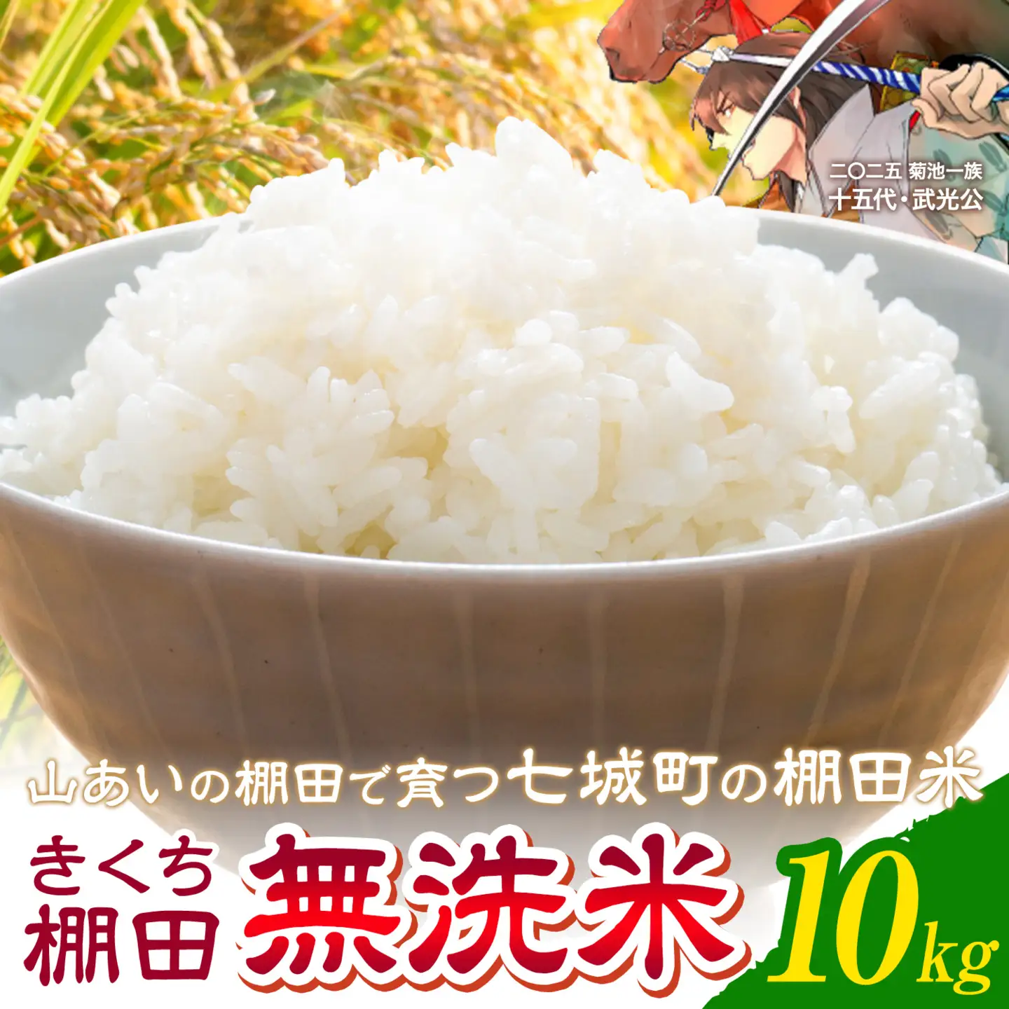 令和7年産 きくち棚田無洗米 10kg ひのひかり《30日以内に出荷予定(土日祝除く)》熊本県 菊池市 米 こめ ヒノヒカリ お米 ブランド米 単一原料米 菊池