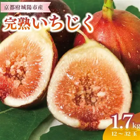完熟いちじく 約1.7kg (12～32個目安) 5L～Mサイズ【配送不可地域：離島・北海道・沖縄県・東北】【1713246】