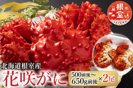 【北海道根室産】花咲かに500g前後～650g前後×2尾 B-36002