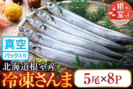 【北海道根室産】冷凍さんま40尾 C-36002