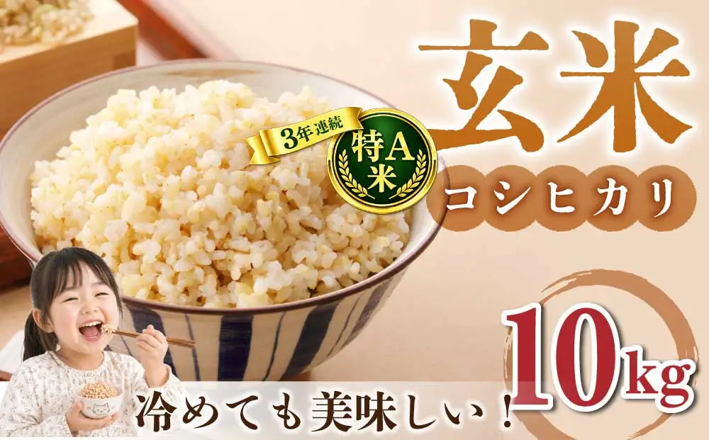 玄米10kg（5kg×2袋）冷めても美味しいコシヒカリ【小田農園】　　｜最短4〜7日程度でお届け　※着日指定不可