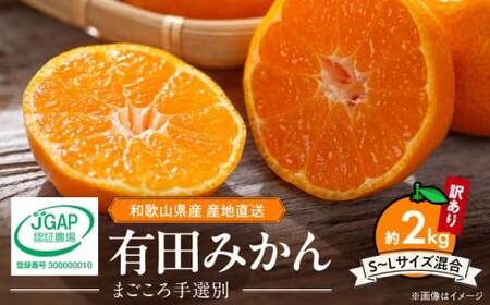 ZE6517_【2026年先行予約】【家庭用】和歌山県産　有田みかん 約2kg (S～Lサイズ混合)【まごころ手選別】