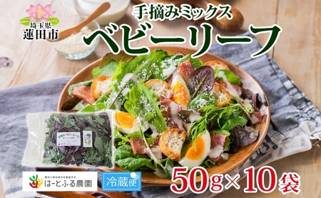 手摘み ミックスベビーリーフ 50g 10袋 ベビーリーフ 野菜 ヤサイ 旬の野菜 葉物野菜 生野菜 ハーブ 緑 彩り 柔らかい 手軽 サラダ サンドイッチ トッピング アクセント はーとふる農園 国産 冷蔵 送料無料 蓮田市 埼玉県