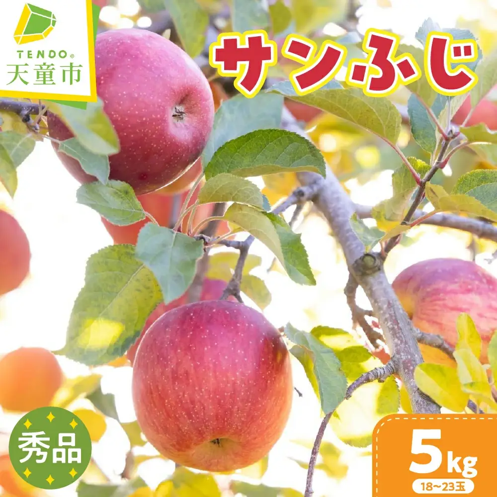 りんご サンふじ 5kg フルーツ 果物 リンゴ
