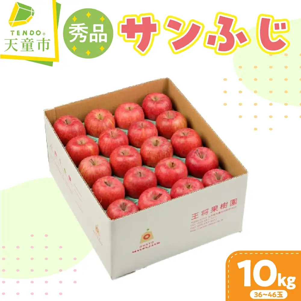 りんご サンふじ 10kg フルーツ 果物 山形 リンゴ