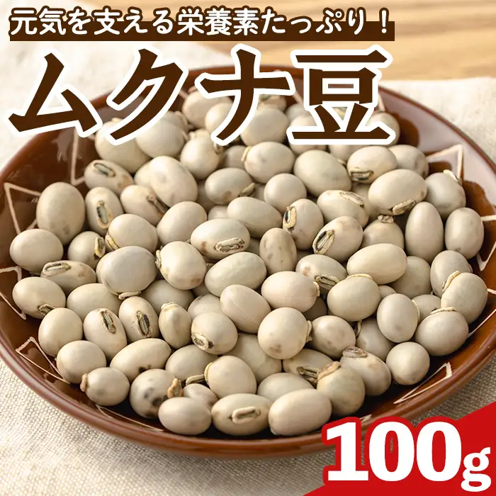 n427 ムクナ豆 100g 八升豆 ハッショウ豆 【永濱農園】 | 鹿児島県