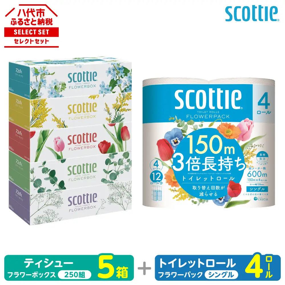 トイレットペーパー シングル 4ロール ＋ ティッシュ 5箱 セット スコッティ ティッシュ トイレット
