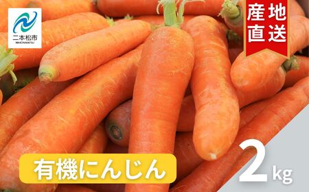 人参 2kg 人参